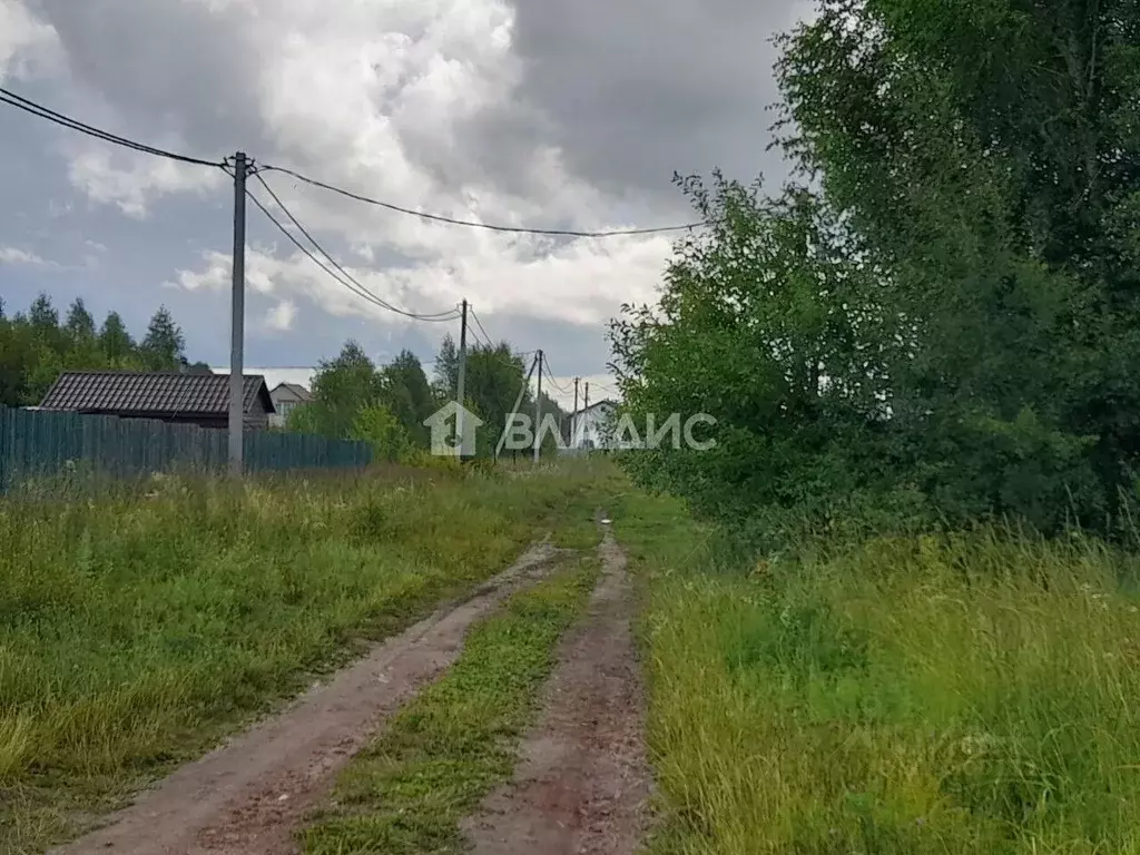 Участок в Нижегородская область, Богородский муниципальный округ, д. ... - Фото 1