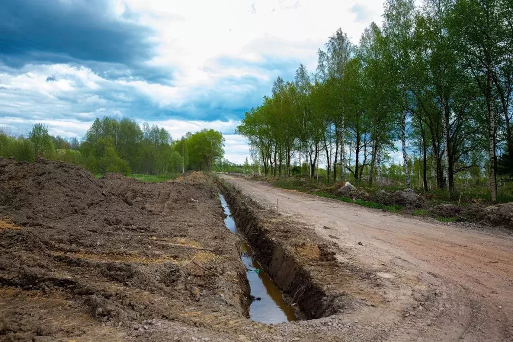 Участок в Ленинградская область, Всеволожский район, Щегловское с/пос, ... - Фото 1