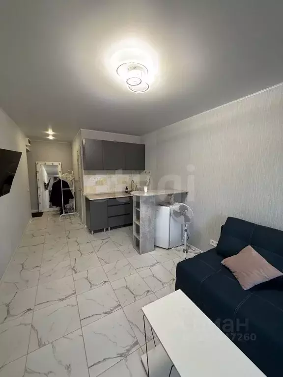 Студия Саратовская область, Энгельсский район, Красноярское ... - Фото 1