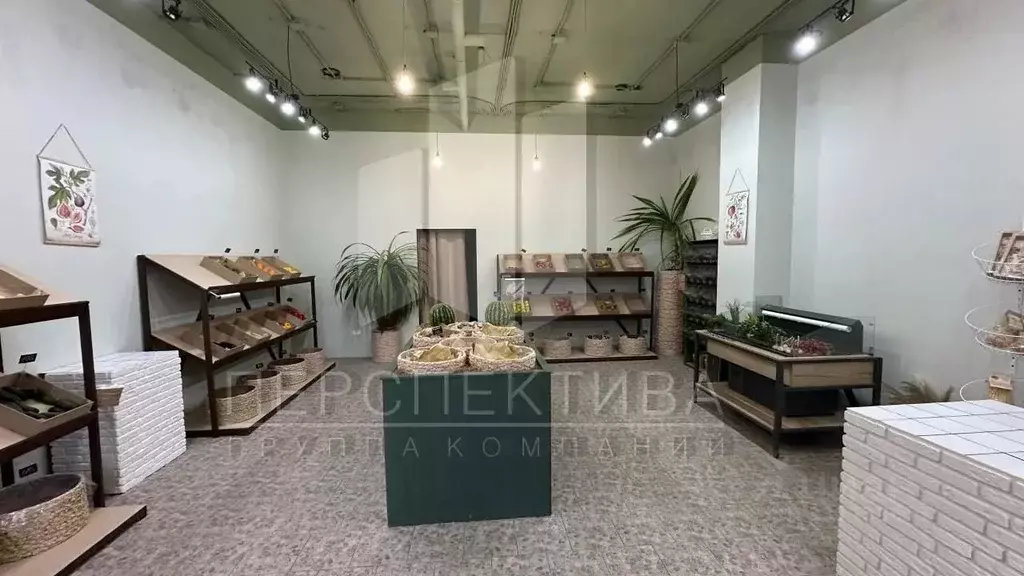 Помещение свободного назначения в Краснодарский край, Новороссийск ул. ... - Фото 2