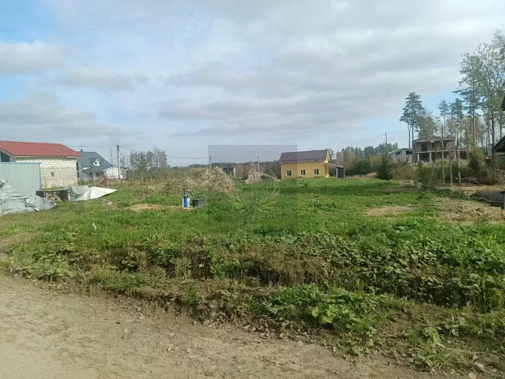 Участок в Ленинградская область, Всеволожский район, Токсовское ... - Фото 2