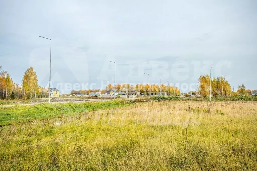 Участок в Тюменская область, Тюменский район, Новокаменский кп ул. ... - Фото 1