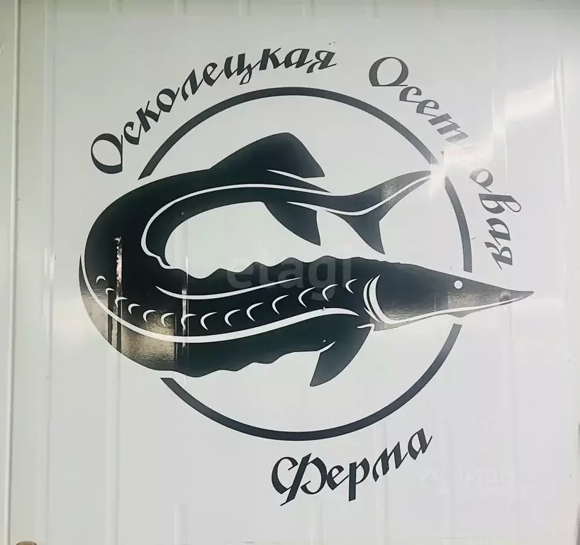 Помещение свободного назначения в Белгородская область, Губкинский ... - Фото 1