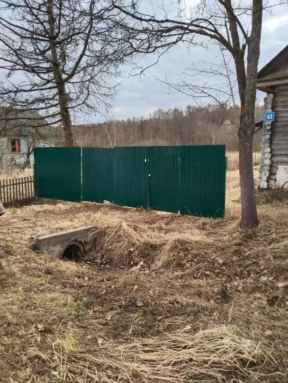 Дом в Новгородская область, Новгородский район, Борковское с/пос, д. ... - Фото 1