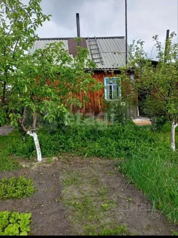 Дом в Курганская область, Кетовский муниципальный округ, с. Большое ... - Фото 0