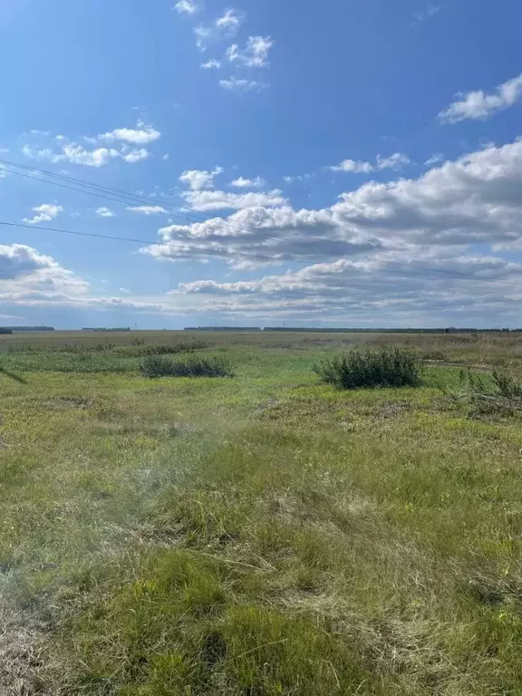 Участок в Свердловская область, Белоярский городской округ, с. ... - Фото 0