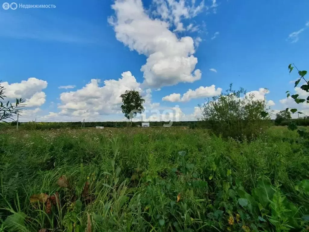 участок в новосибирск, колыванское шоссе (12 м) - Фото 0