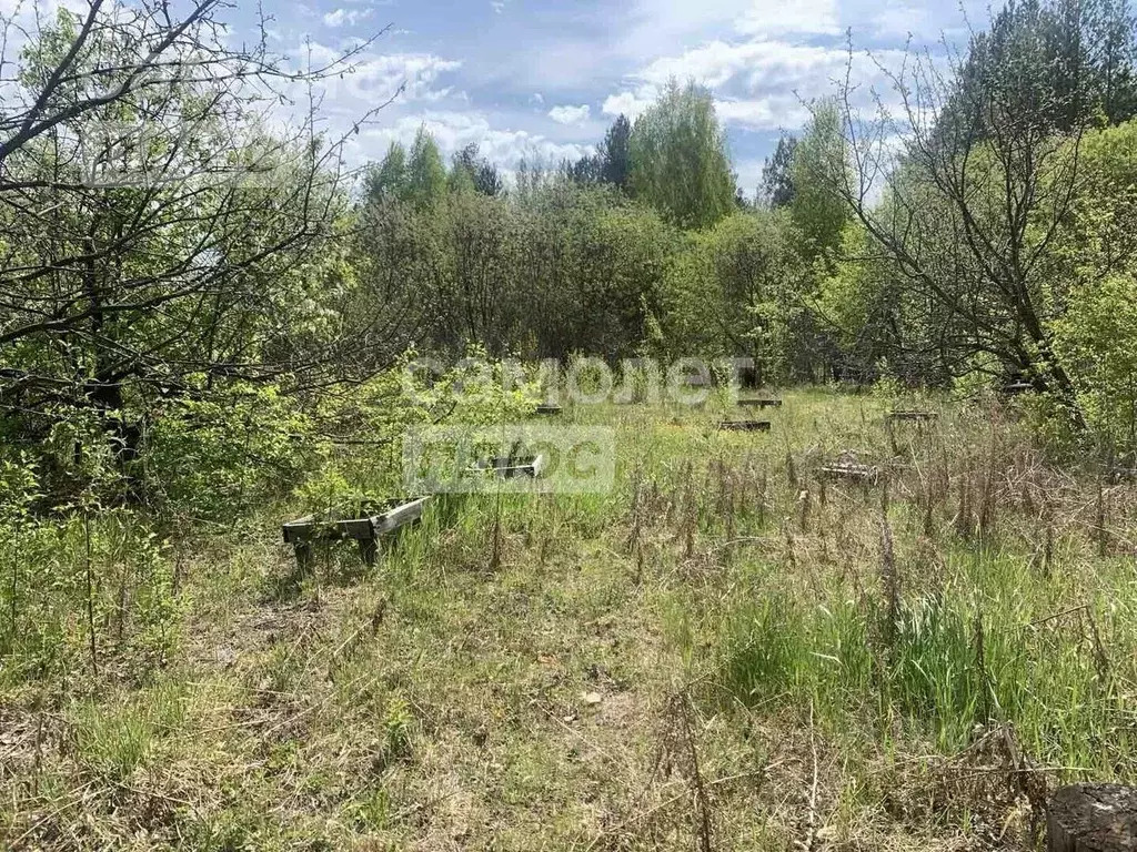 Участок в Свердловская область, Тугулымский городской округ, пос. ... - Фото 1