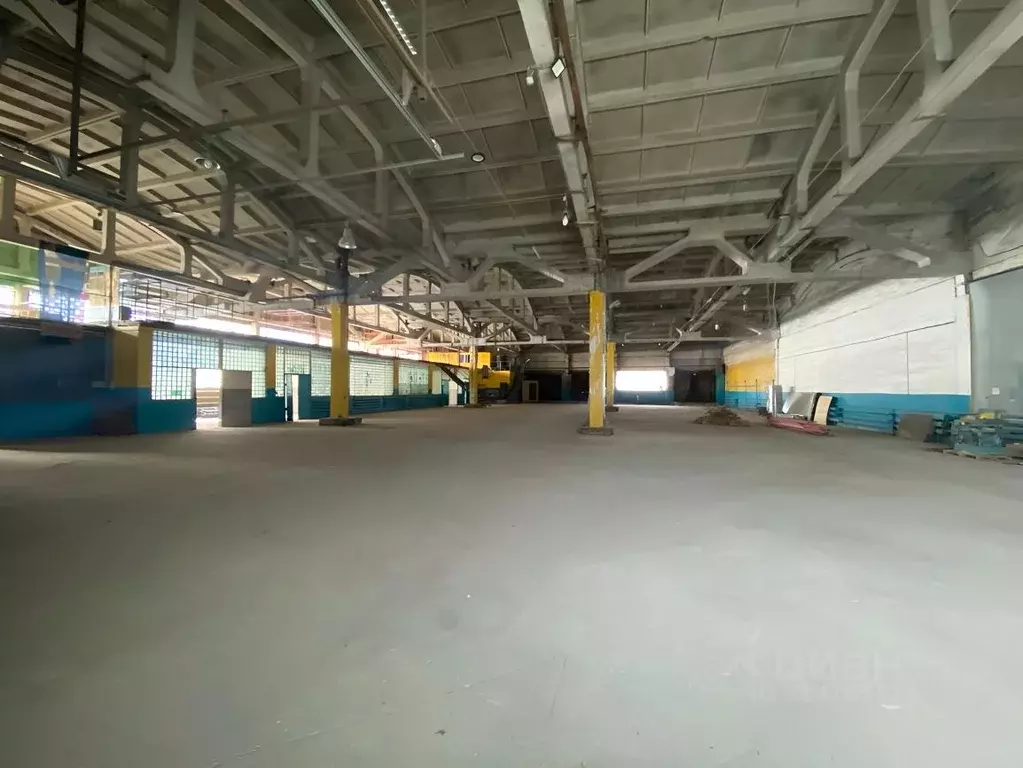 Помещение свободного назначения в Курганская область, Курган ул. ... - Фото 1