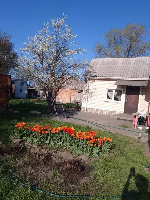 Дом в Ростовская область, Багаевский район, Красный хут. Зеленая ул., ... - Фото 1