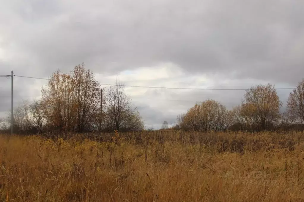 Участок в Московская область, Шаховская муниципальный округ, д. ... - Фото 1