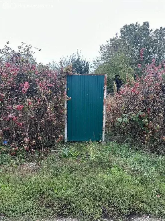 Участок в Новотитаровское сельское поселение, хутор Осечки, дачное ... - Фото 1