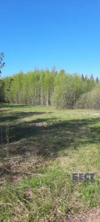 Участок в Нижегородская область, Тоншаевский муниципальный округ, д. ... - Фото 0