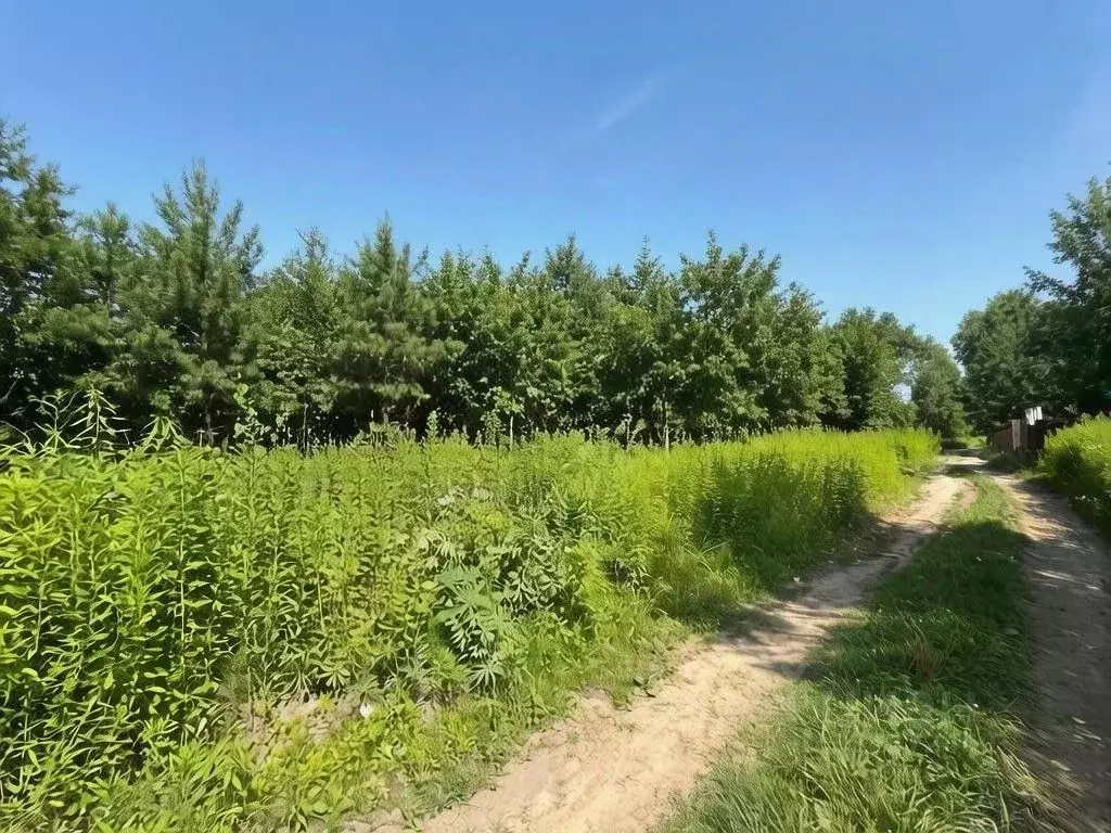 Участок в Татарстан, Зеленодольск Трудовик СНТ,  (10.0 сот.) - Фото 1