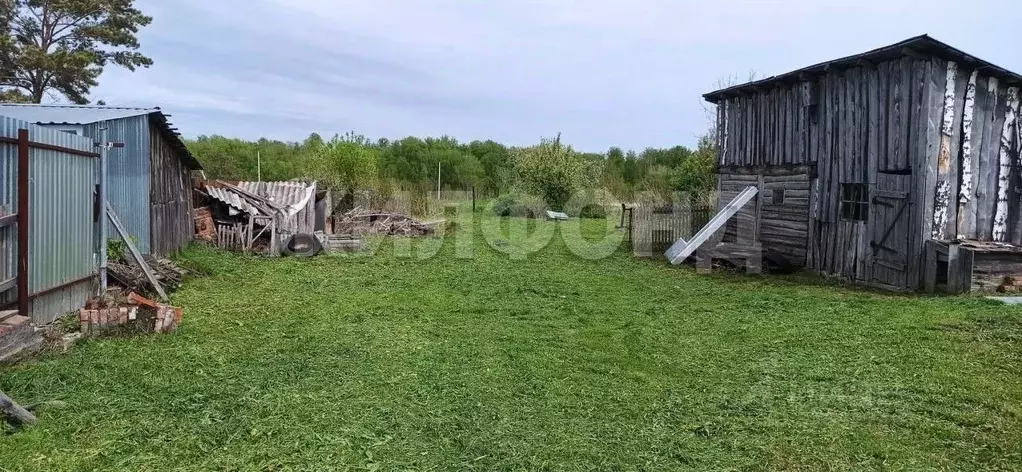 Участок в Новосибирская область, Мошковский район, с. Барлак ... - Фото 2