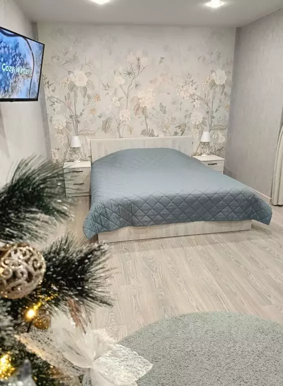 1-к кв. Псковская область, Псков Ольгинская наб., 9 (44.0 м) - Фото 1