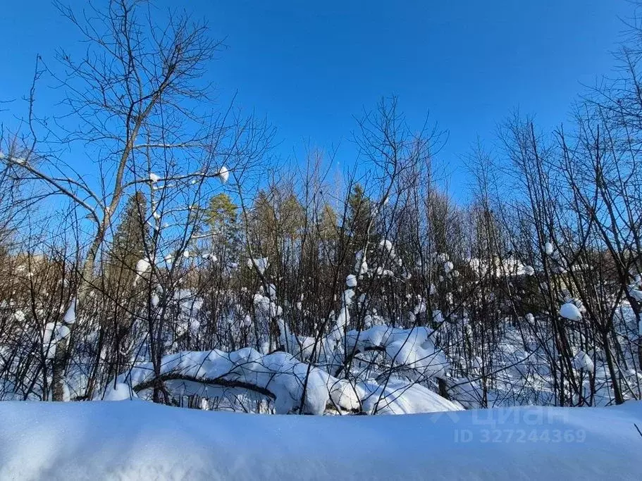 Участок в Ленинградская область, Выборгский район, Гончаровское с/пос  ... - Фото 2