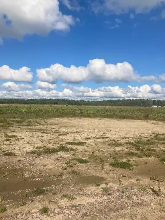 Участок в Ленинградская область, Выборгский район, Первомайское с/пос, ... - Фото 2