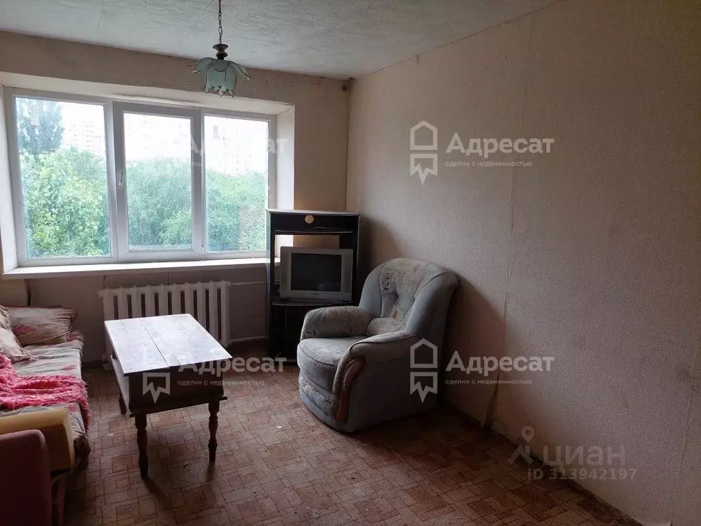 Комната Волгоградская область, Волгоград ул. Тимирязева, 11 (18.1 м) - Фото 1