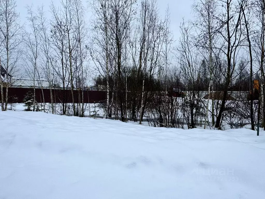 Участок в Московская область, Солнечногорск городской округ, д. Ложки  ... - Фото 1