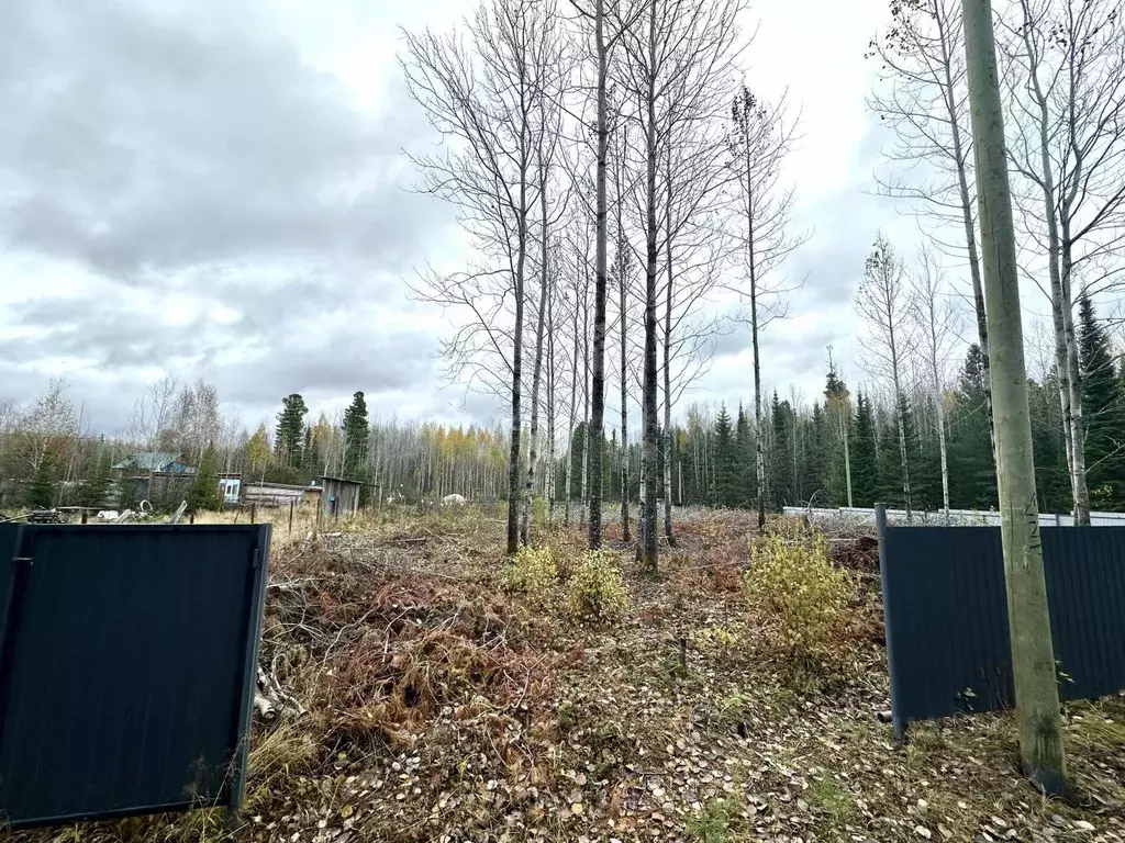 Участок в Ханты-Мансийский АО, Ханты-Мансийск Киновидеопредприятие ... - Фото 1