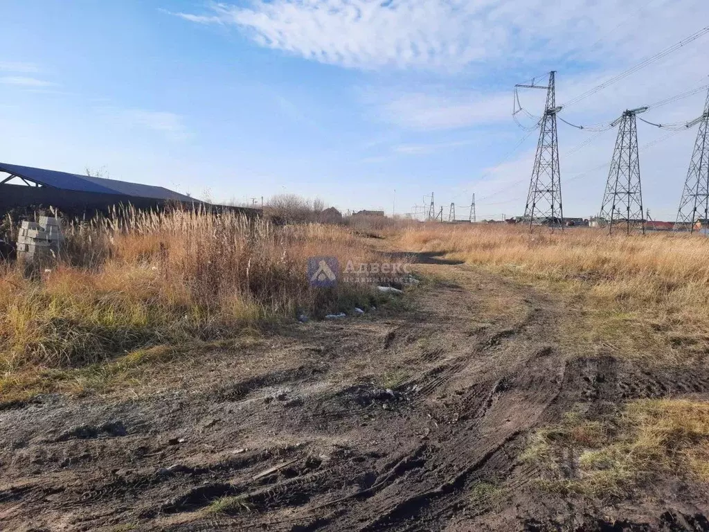 Участок в Тюменская область, Тюмень Казарово мкр, ул. 1-я Новая, 89А ... - Фото 1