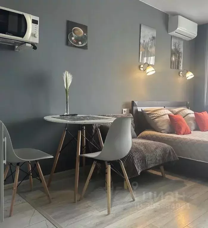 Студия Хабаровский край, Хабаровск ул. Пушкина, 58 (24.0 м) - Фото 1