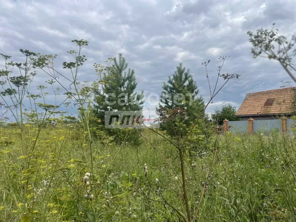 Участок в Тюменская область, Тюменский район, д. Паренкина Береговая ... - Фото 1