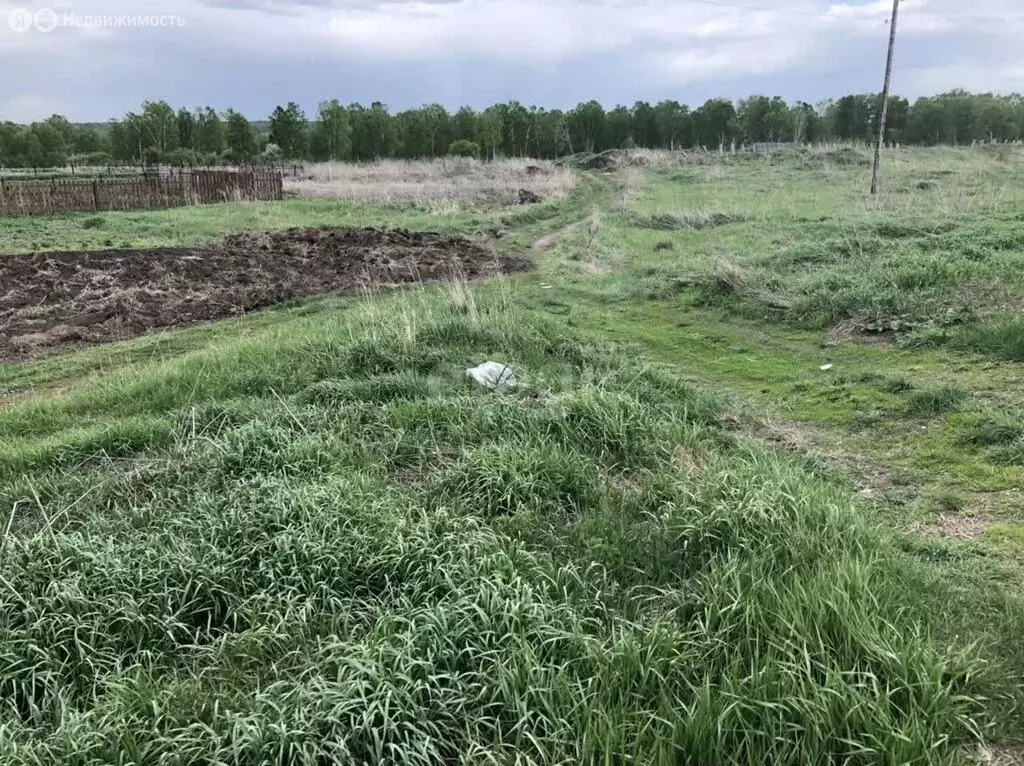 Участок в Искитимский район, Евсинский сельсовет, деревня Шадрино ... - Фото 1