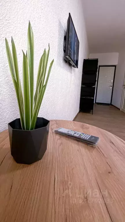 Студия Краснодарский край, Новороссийск городской округ, с. Мысхако ... - Фото 1