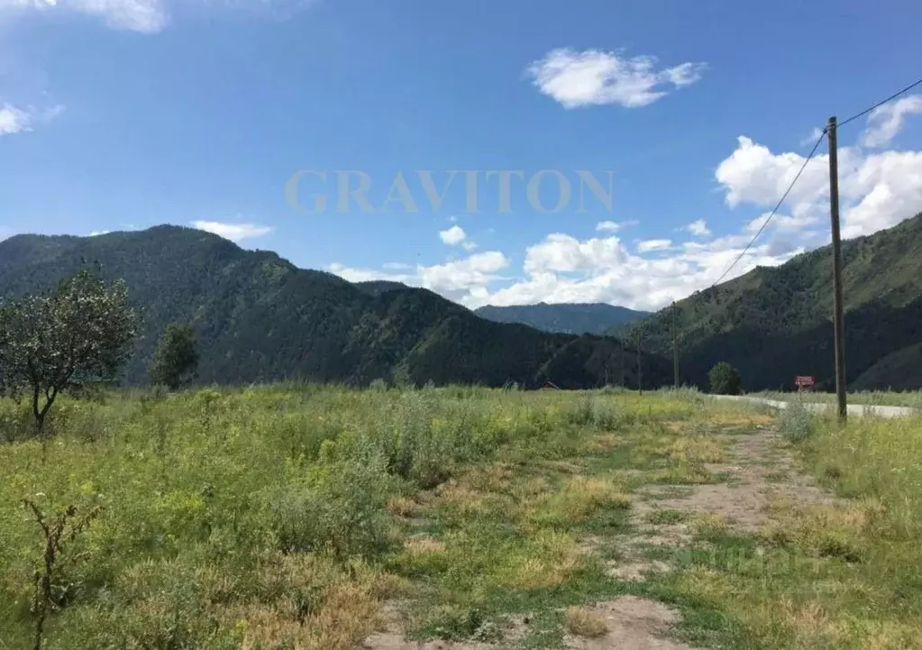 Участок в Алтай, Чемальский район, с. Чемал ул. Макария Невского, 23 ... - Фото 0