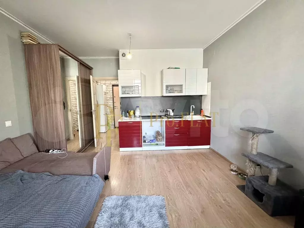 Квартира-студия, 24,9 м, 5/19 эт. - Фото 0