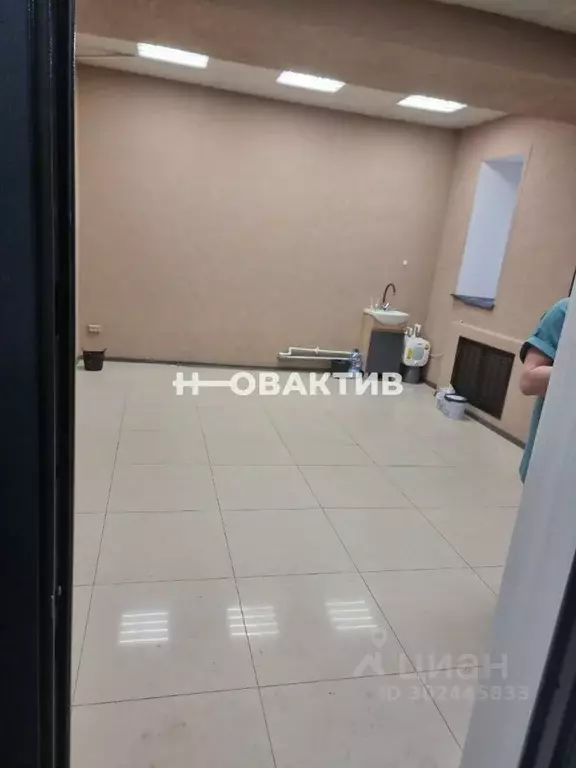Офис в Новосибирская область, Новосибирск ул. Мичурина, 12А (21 м) - Фото 1