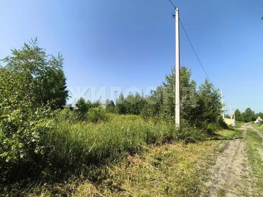 Участок в Новосибирская область, Новосибирск Пашино мкр, ул. ... - Фото 0