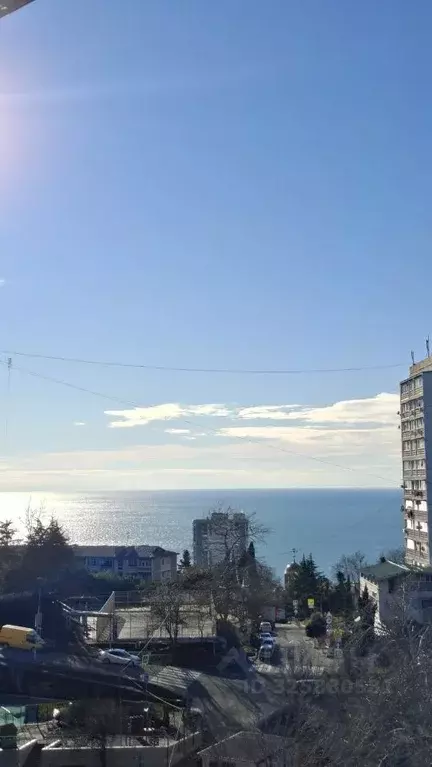 Студия Краснодарский край, Сочи Бытха мкр, ул. Ясногорская, 16/2к1 ... - Фото 2