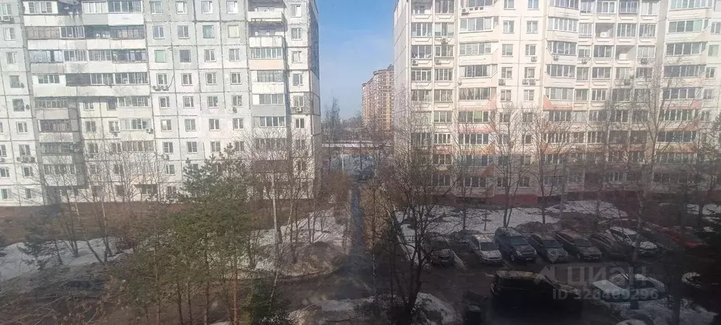 2-к кв. Московская область, Щелково Щелково-3 мкр, ул. Бахчиванджи ... - Фото 2