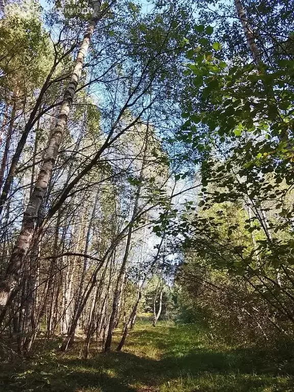 Участок в Тульская область, Алексин (11.5 м) - Фото 1