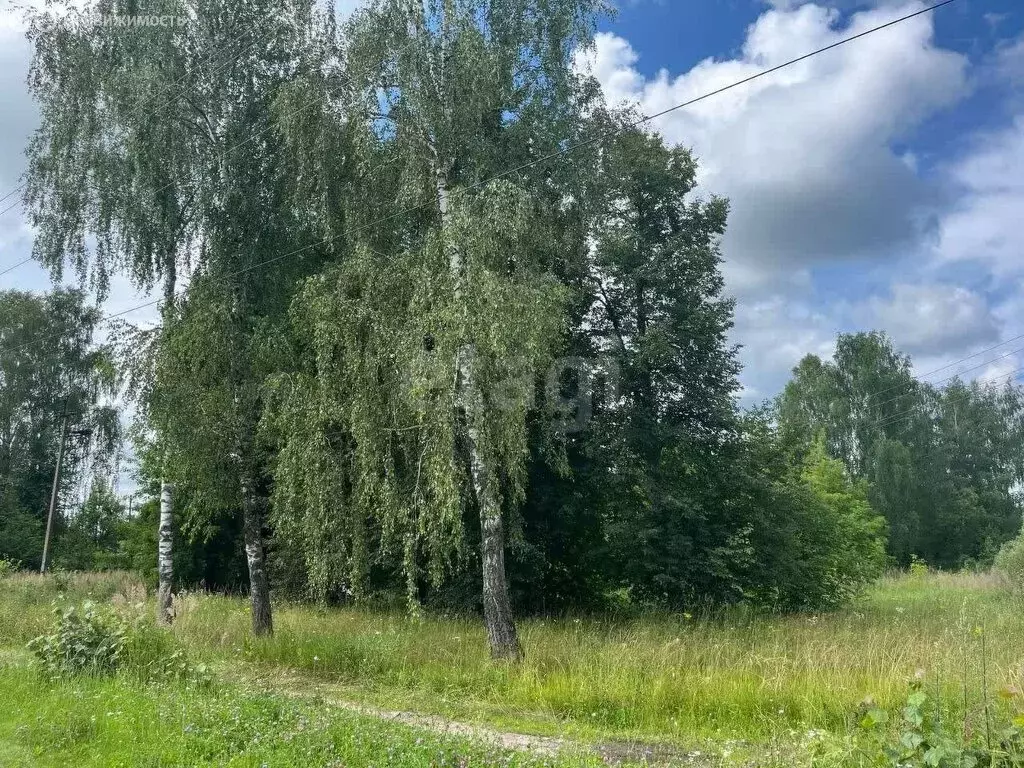 Участок в Локоть, улица Королёва (12 м) - Фото 1