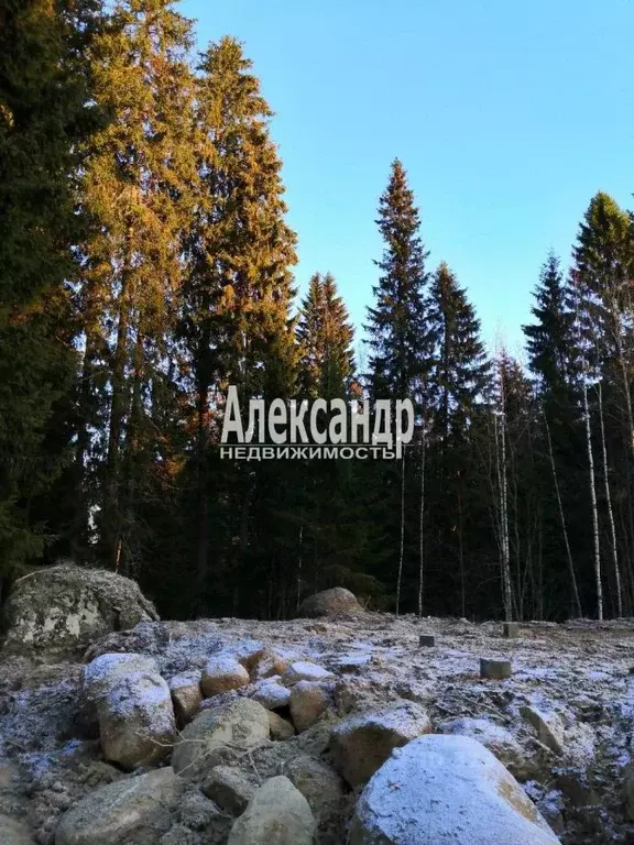 Дом в Карелия, Лахденпохья пос. Хуухканмяки,  (34 м) - Фото 2