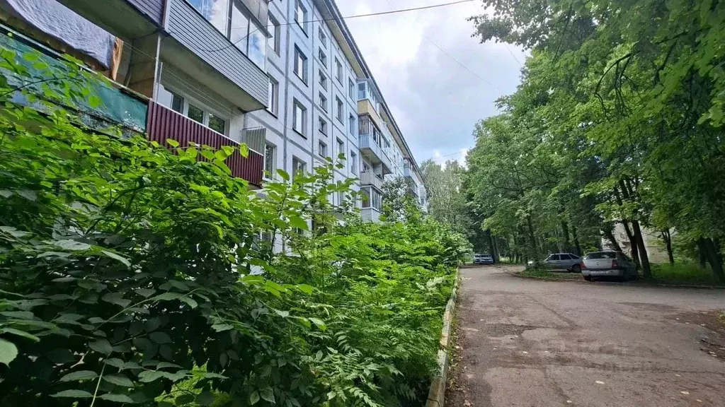 2-к кв. Московская область, Солнечногорск ул. Рабухина, 3 (41.0 м) - Фото 2