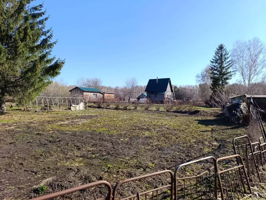 Участок в Новосибирская область, Новосибирск Профилактическая ул., 61 ... - Фото 1