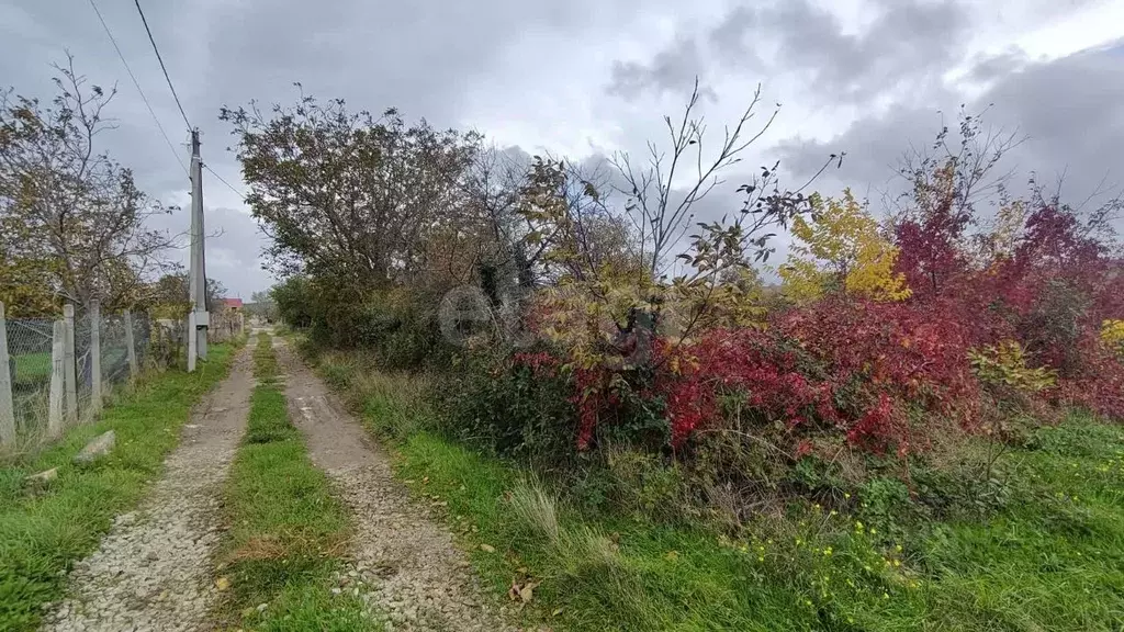 Участок в Крым, Феодосия муниципальный округ, с. Ближнее ул. Вишневая ... - Фото 1