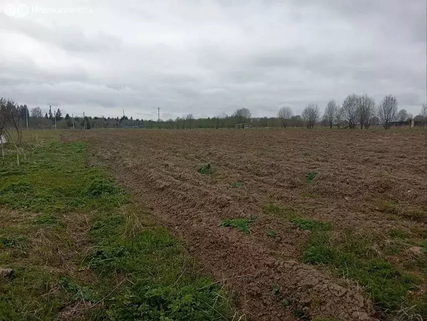Участок в Волосовский район, деревня Клопицы (65 м) - Фото 1