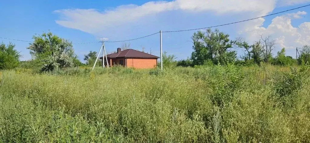 Участок в Саратовская область, Энгельс муниципальное образование, ... - Фото 1