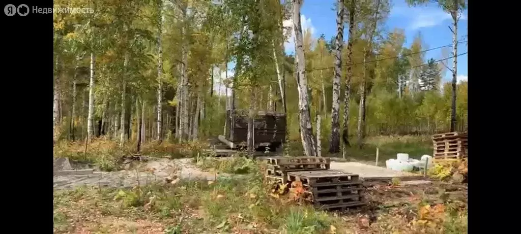 Участок в Ушаковское муниципальное образование, деревня Новолисиха (20 ... - Фото 1