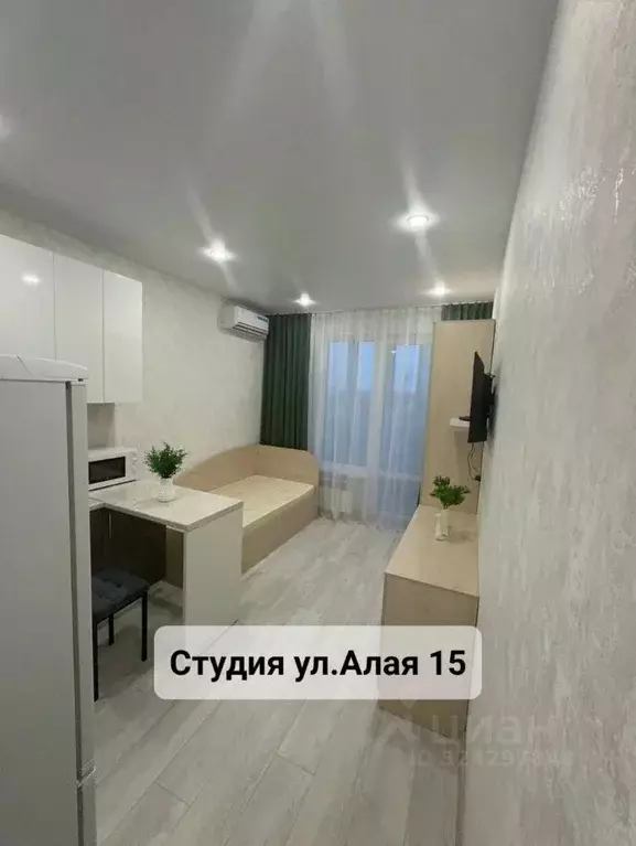 Студия Пензенская область, Пензенский район, Засечный сельсовет, с. ... - Фото 1