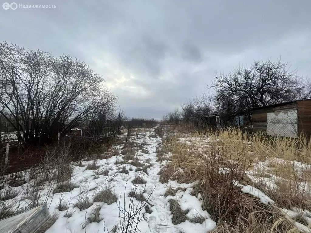 Участок в муниципальное образование Саратов, село Усть-Курдюм (8 м) - Фото 0