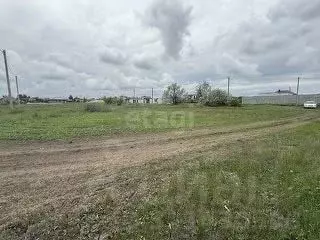 Участок в Саратовская область, Энгельсский район, Красноярское ... - Фото 0