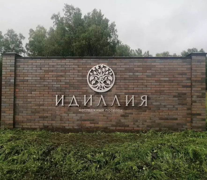 Участок в Новосибирская область, Новосибирский район, Раздольненский ... - Фото 1