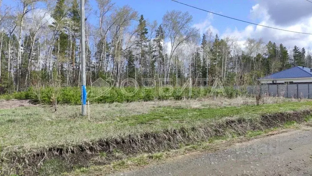 Участок в Тюменская область, Тюменский район, д. Ушакова, Елки кп  ... - Фото 1